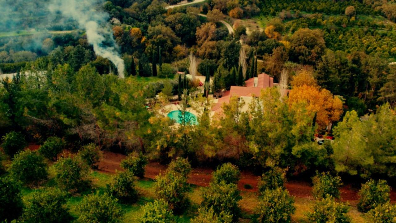 Secret Forest - Wellness Retreat & Healing Spa (Adults Only) Miliou Exterior foto